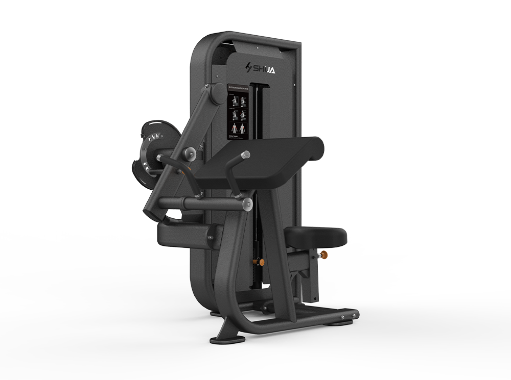 Shua G6822 Bicep/Tricep selectorized machine, studio render 1 of 2