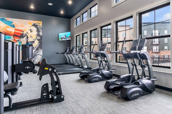 Modern apartment fitness center featuring cardio machines, free weights, and functional training zones designed by G&G Fitness Equipment.