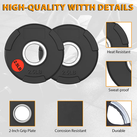 Premium Olympic Plates - Rubber Grip 2.5 lb G&G Fitness Equipment Variant(s) - LBWeight 3daa87fa-5a5c-ed11-834a-0af6a9949c45_2001-01_.