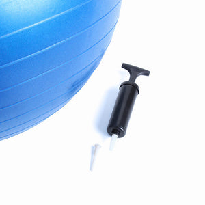 FIT505 Stability Ball