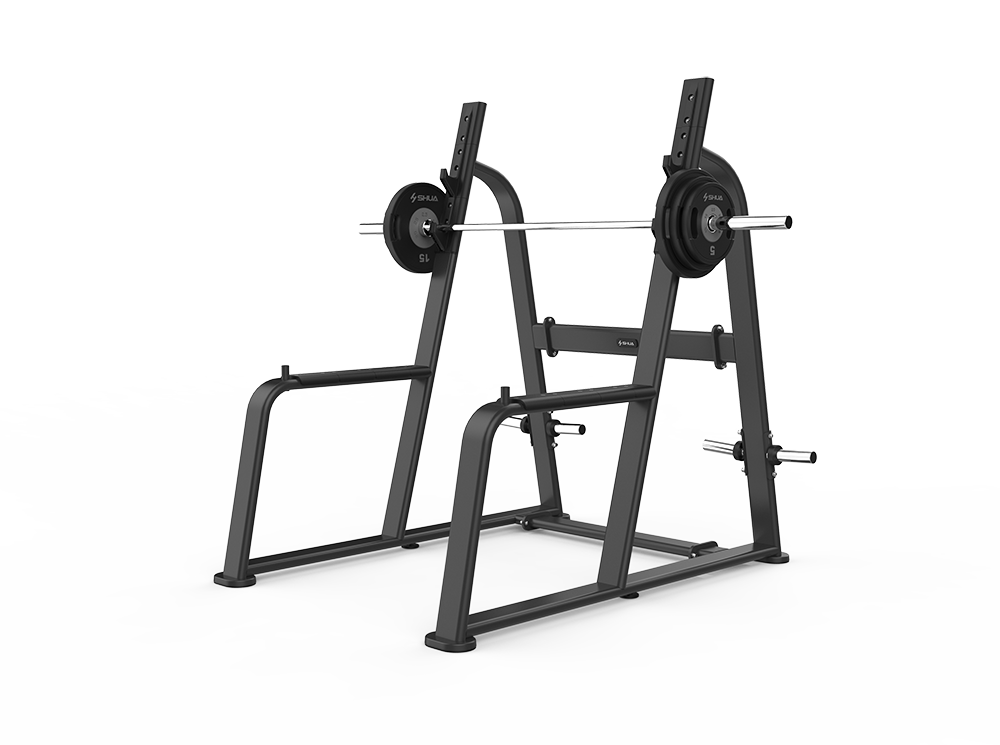 Shua G6354 Squat Rack, studio render