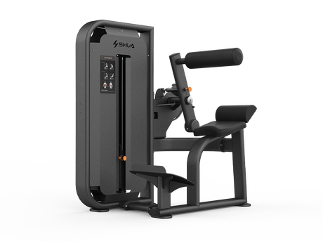 Shua G6817 Back Extension selectorized machine, studio render 1 of 2
