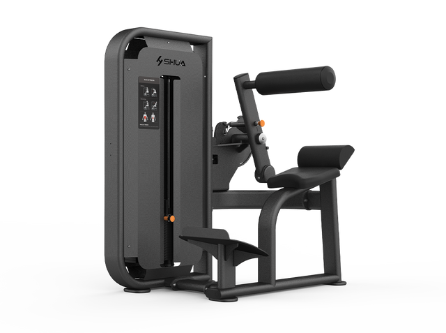 Shua G6817 Back Extension selectorized machine, studio render 1 of 2