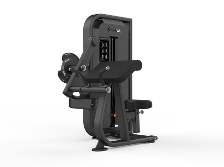 Shua G6822 Bicep/Tricep selectorized machine, studio render 1 of 2