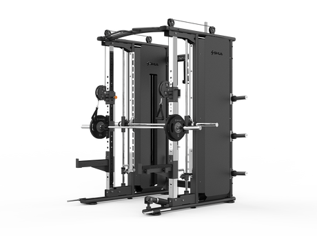 Shua G7225 Multi Functional Trainer, studio render